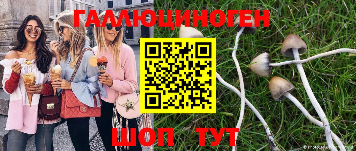 Галлюциногенные грибы Cubensis Дмитров